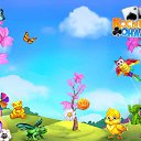 ���� �����, ������������, 65 ��� - ��������� 16 ����� 2017 � ������ �������� �������-�������