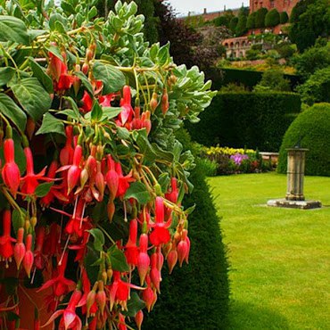    Powis Castle Garden   .      ... - 5