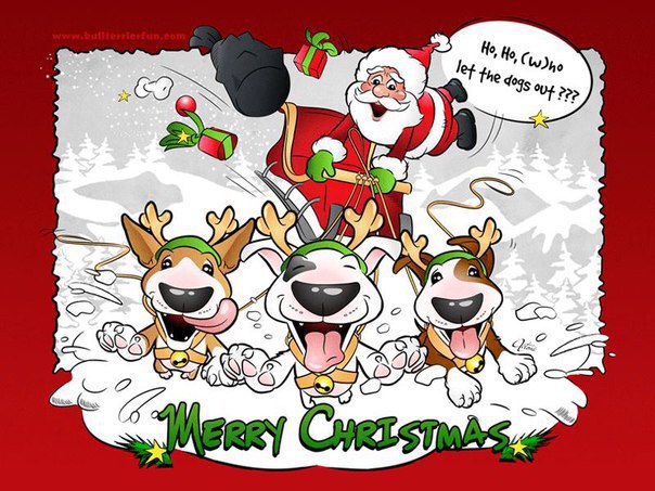 Натуральные Сушеные Лакомства Для Собак ВКУСНЯШКА#1 - https://fotostrana.ru/away?to=/sl/vXZВ предверии ...