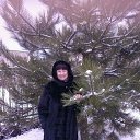 ���� ����, ������-��-����, 71 ��� - ��������� 30 ������� 2016 � ������ ���������� ������