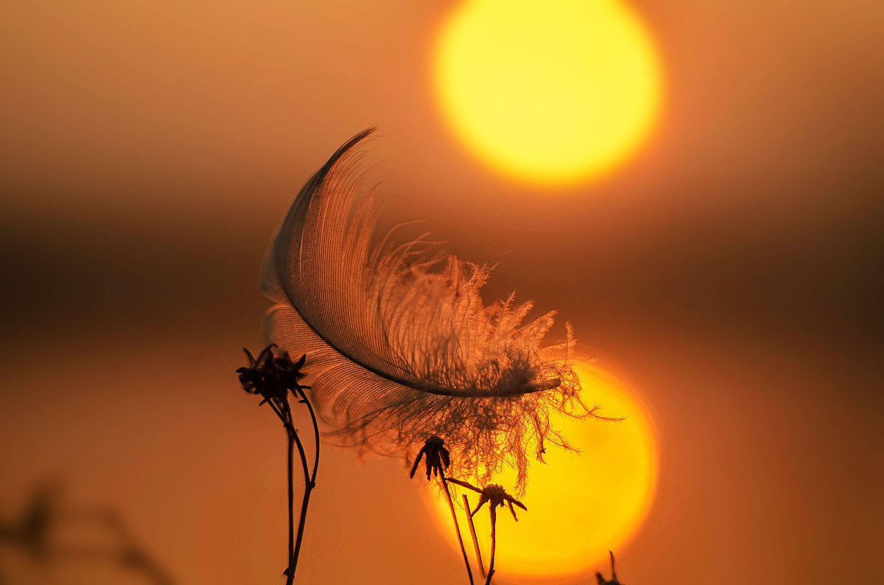 �������� �������! - 6 ������ 2017 � 11:27 - 2