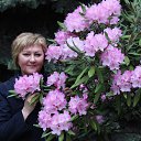  , -, 64  -  24  2017    