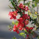 ���� �������, �������, 43 ���� - ��������� 2 ������ 2017 � ������ ������ �������