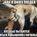 ���� �������(���), ����������� ����, 55 ��� - ��������� 10 �������� 2016 � ������ �������