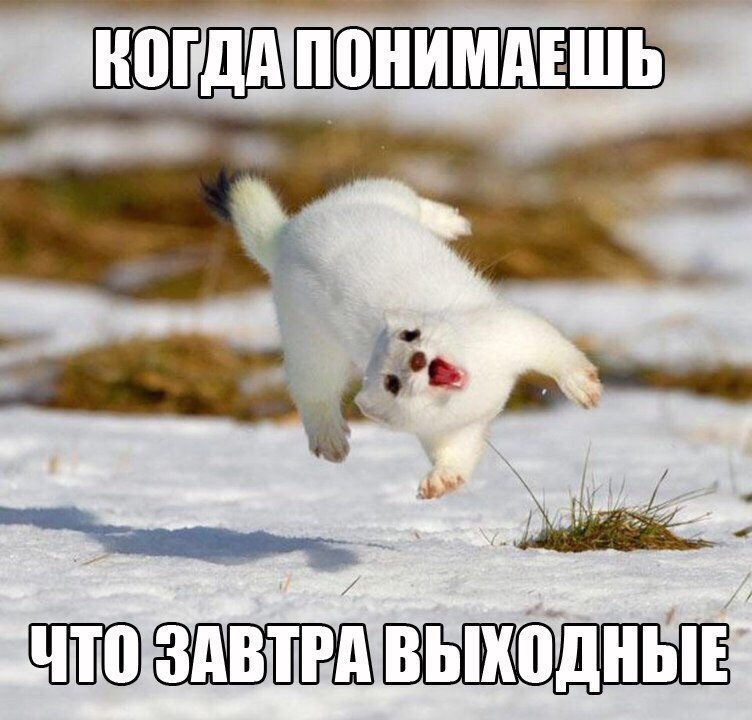     - 2  2016  14:48