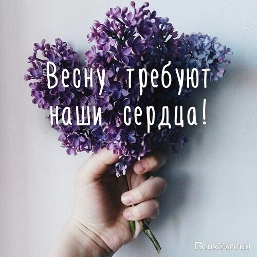  - 1  2017  11:29