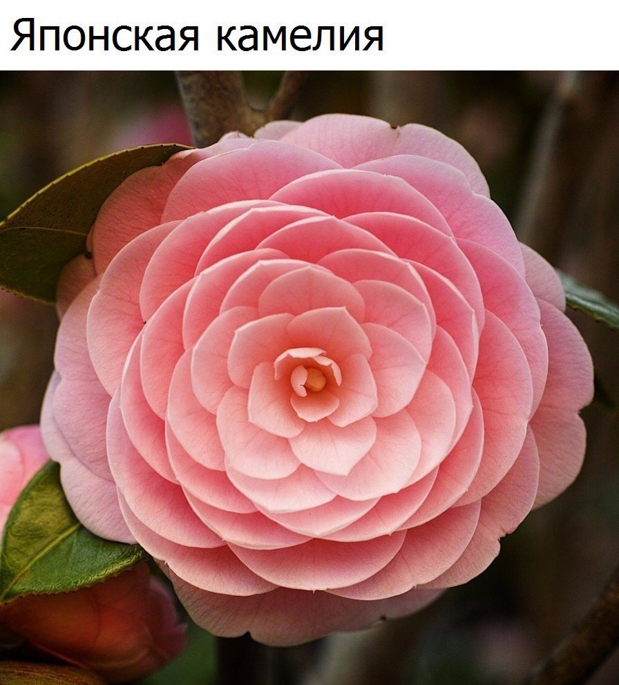  - 5  2016  02:38