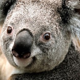 Andrey, ������, 58 ���