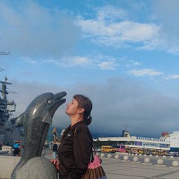 ������, �����������, 50 ���