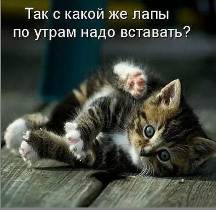 @.   ,    !    !!!)))))