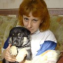 ���� ��������, ��������, 54 ���� - ��������� 4 ������� 2016 � ������ ���� ����������