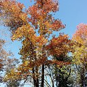 ���� �������, ������, 41 ��� - ��������� 26 ������� 2017 � ������ ���� ����������