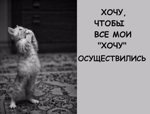    - 5  2017  19:24
