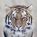  Alex, --, 63  -  9  2016    