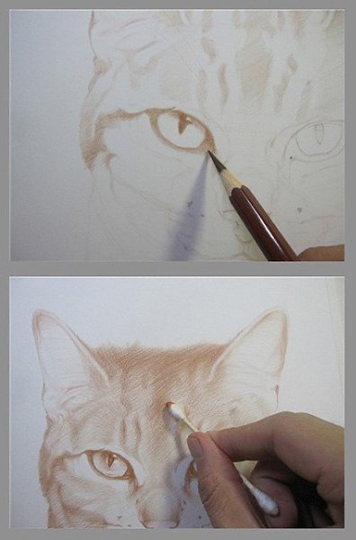 #пошаговые_уроки@ele_art_school. #графика@ele_art_school Кот цветными карандашами - 3