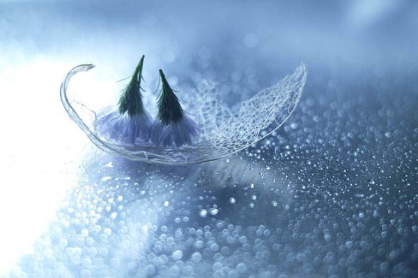        (Lafugue Logos)