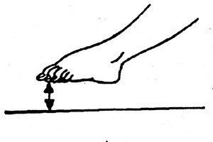 ����������, ������������� ����� � ������������� � ���� �������� �������. 1. ���������� 