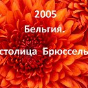  , , 82  -  16  2017   2005. .