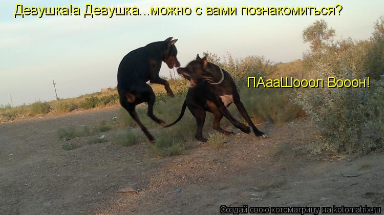 - ,    a? -   , a    ?