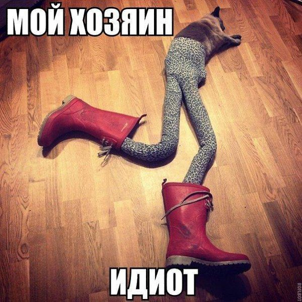    :D - 12  2016  05:35