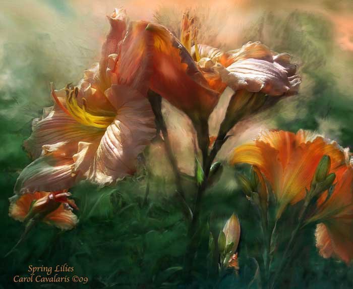 ))).    Carol Cavalaris,   .   - ... - 6