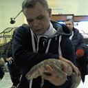  Anton, , 34  -  22  2017    