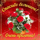 ���� �����, ������������, 54 ���� - ��������� 25 ������� 2017 � ������ �������� ��������