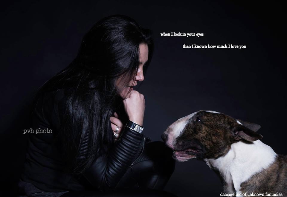 Английский бультерьер. - 16 декабря 2016 в 18:21