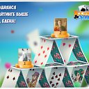 ���� ����, ����������� - ��������� 27 ����� 2017 � ������ �������� �������-�������