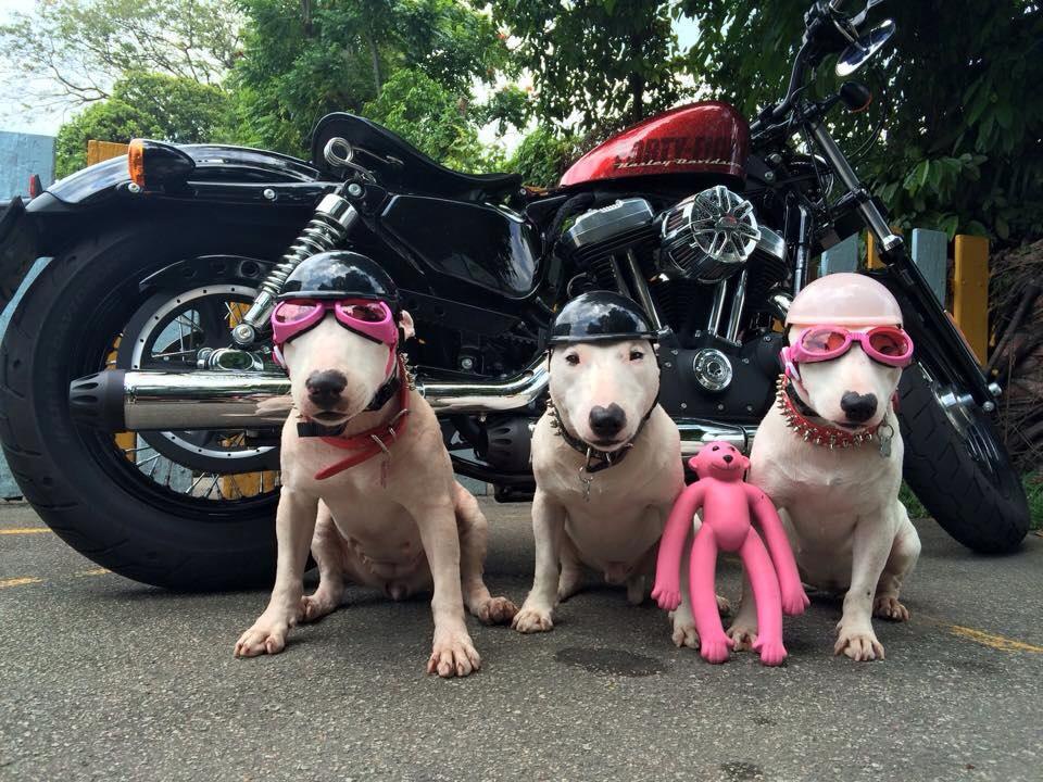 Всем доброго утра