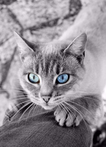       - 10  2016  22:45 - 5