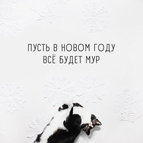    - 2  2017  14:06