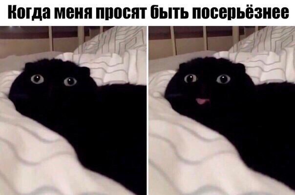    :D - 31  2017  10:06