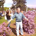  , 2006   