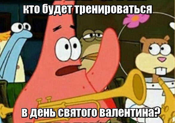 SportFeed - 5  2016  13:09