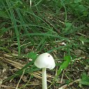 ���� ������, ������, 51 ��� - ��������� 29 �������� 2016 � ������ ������ - ������ � ����������