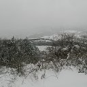  , , 73  -  28  2017    ߻