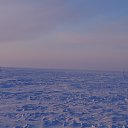 ���� ������, ��������, 45 ��� - ��������� 8 ����� 2017 � ������ ���� ��������