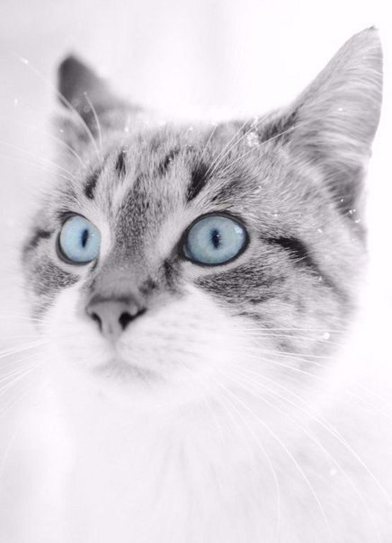       - 10  2016  22:45 - 2