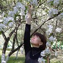 ���� �����, ������ - ��������� 12 ������� 2016 � ������ ���� ����������