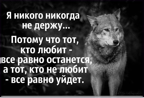 .https://fotostrana.ru/away?to=/sl/kxC2 - 25  2016  10:35