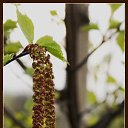 ���� ���������, ������, 59 ��� - ��������� 3 ������� 2016 � ������ ���� ����������