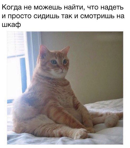   - 7  2017  08:16