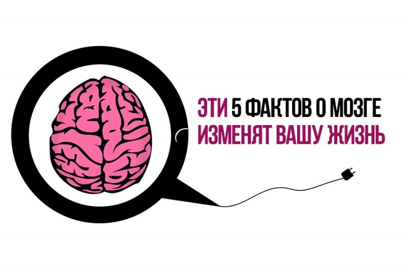 O brain. Интересные факты о мозгах. Факты о мозге. Интересное про мозг. Интересные факты о человеческом мозге.