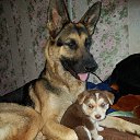 ���� ����, ������, 53 ���� - ��������� 4 ������� 2016 � ������ ������ ��������