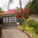 ���� ����, ������ ������� - ��������� 27 ����� 2017 � ������ ������ 2017�.�