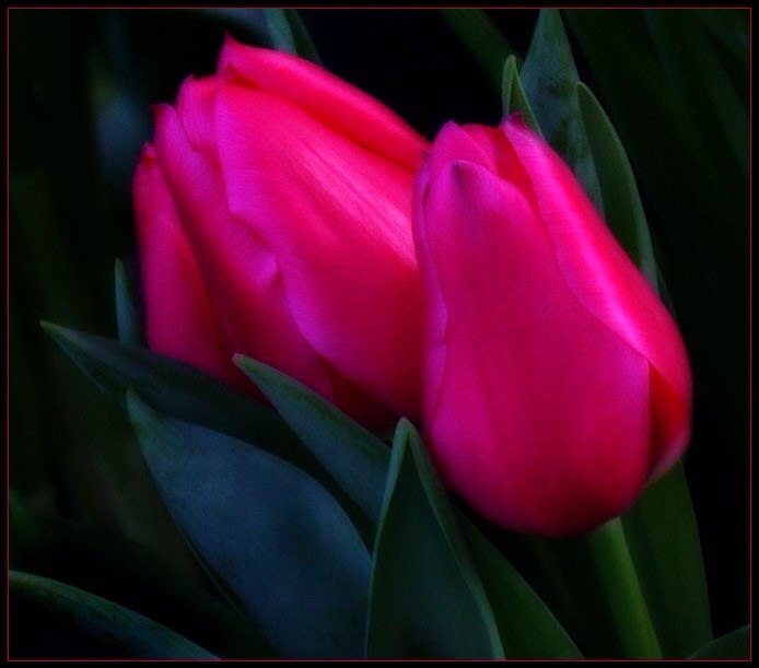 ###. ,   ?   ...   , , ,  ... - 3