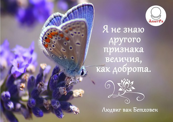     ...  , - ...     : ...