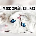 ���� ����, ���� - ��������� 11 ������ 2016 � ������ ������ ��������