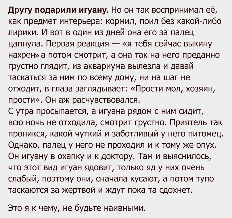   - 17  2017  10:02